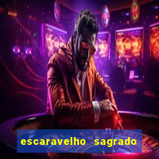 escaravelho sagrado e perigoso